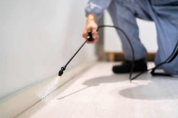 Bed Bug Pre-Treatment Preparation Assessment in Mount Oliver