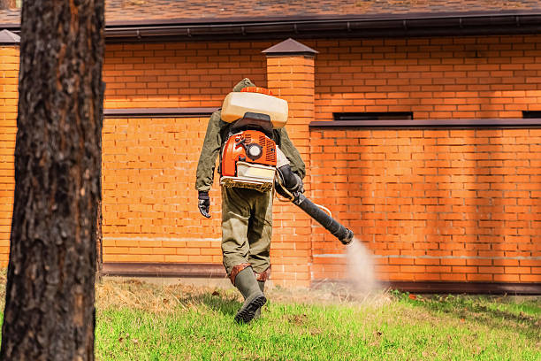 Bed Bug Clearance Verification and Documentation in Mount Oliver